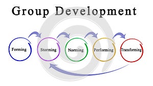 Group Development Process photo