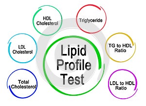 Components of Lipid Profile Test