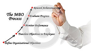 The MBO Process
