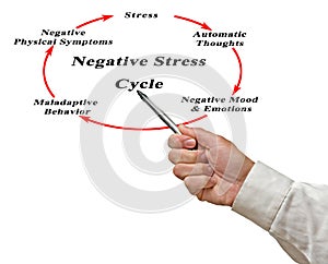 Negative Stress Cycle