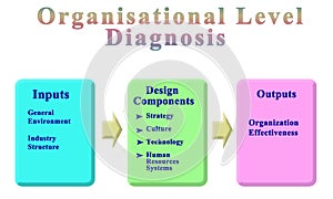 Components of Organisational Level Diagnosis