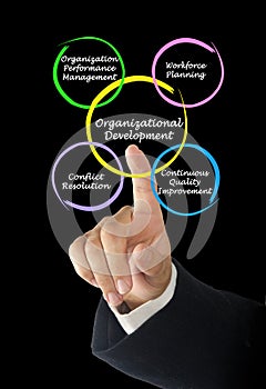 Components of Organizational Development