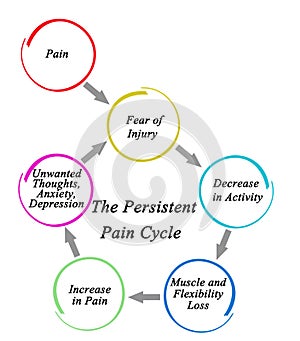 Components of Persistent Pain Cycle photo