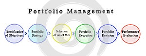 Components of Portfolio Management