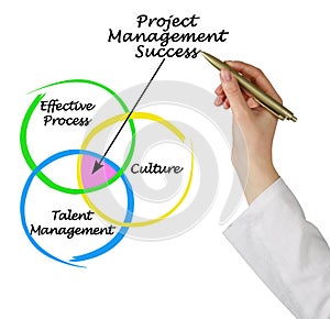 Project Management Success