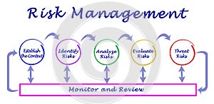 Components of Risk Management