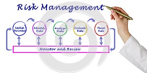 Components of Risk Management