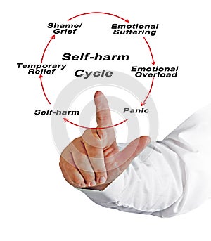 Self - harm Cycle photo