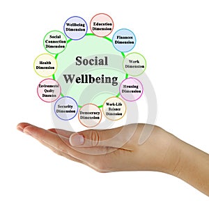 Components of Social Wellbeing