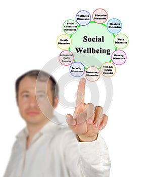 Components of Social Wellbeing