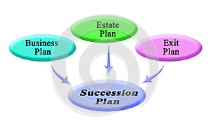 Components of Succession plan