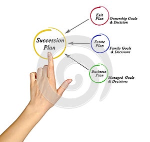 Components of Succession plan
