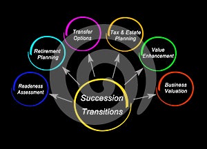 Components of Succession Transitions