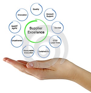 Components of Supplier Excellence