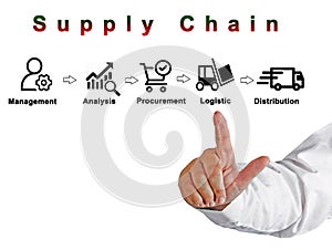 Components of Supply Chain