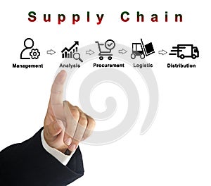 Components of Supply Chain