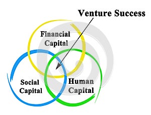 components of Venture Success