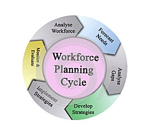 Workforce Planning Cycle photo