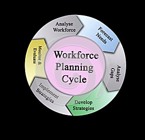 Components of Workforce Planning Cycle