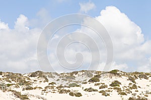 Comporta beach in Alentejo Portugal