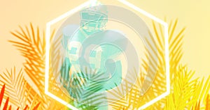 Composite of american football player standing by illuminated hexagon and plants on beige background