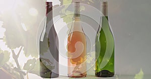 Composite of bottle of red, rose and white wine over vineyard background