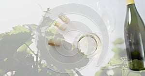 Composite of bottle of wine, glass of white wine, corks over vineyard background