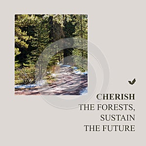 Composite of cherish the forests, sustain the future text, beautiful view of trees growing in woods