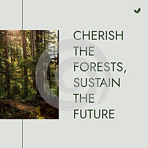 Composite of cherish the forests, sustain the future text, idyllic view of trees growing in forest