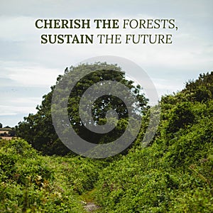 Composite of cherish the forests, sustain the future text and lush green plants growing on hill
