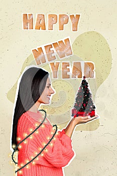 Composite collage picture image of beautiful gorgeous young woman hold little new year christmas tree garland presents