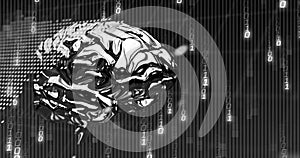 Composite of human brain, binary coding and data processing