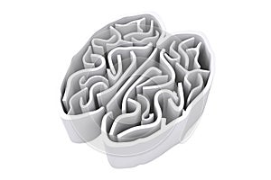 Composite image of brain maze