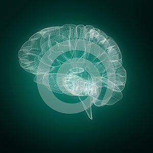 Composite image of 3d illustration of human brain