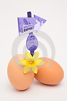 Composite image of easter egg hunt sign