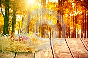 Composite image of easter eggs in creative paper nest