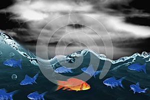 Composite image of goldfish