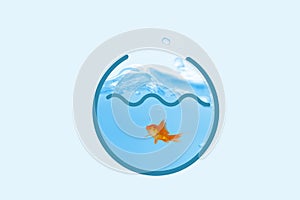 Composite image of goldfish against white background