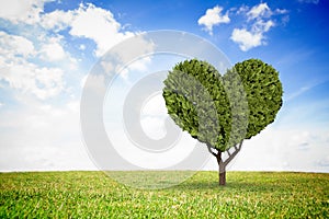 Composite image of heart shaped plant