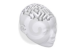 Composite image of maze as brain