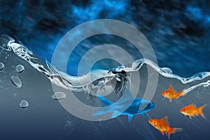 Composite image of orange goldfish