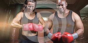 Composite image of portrait of male and female boxers with gloves