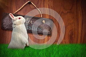 Composite image of side view of cute rabbit