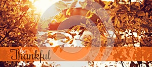 Composite image of thanksgiving greeting text