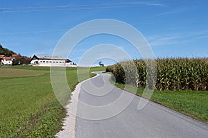 Composite landscape, road going down the hill through fields of farm, blue sky, green grass