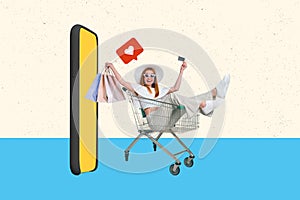 Composite photo collage of happy girl sit in shopping cart hold bags credit card make order on smartphone isolated