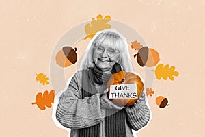 Composite photo collage of happy old woman hold pumpkin autumn harvest give thanks wear wool pullover scarf isolated on photo