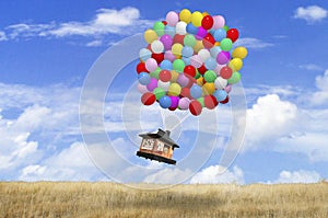House being carried by balloons photo