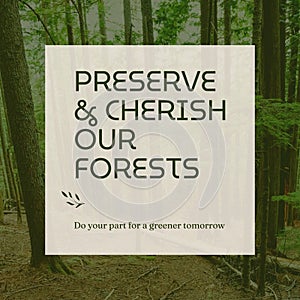 Composite of preserve and cherish our forests text over forest background