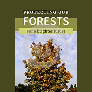 Composite of protecting our forests for a brighter future text over tree growing under sky in forest